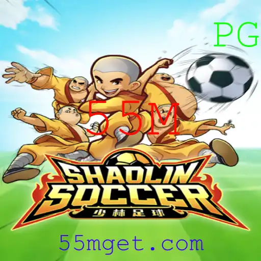 ShaolinSoccer: Um Mergulho no Mundo do Futebol com Artes Marciais